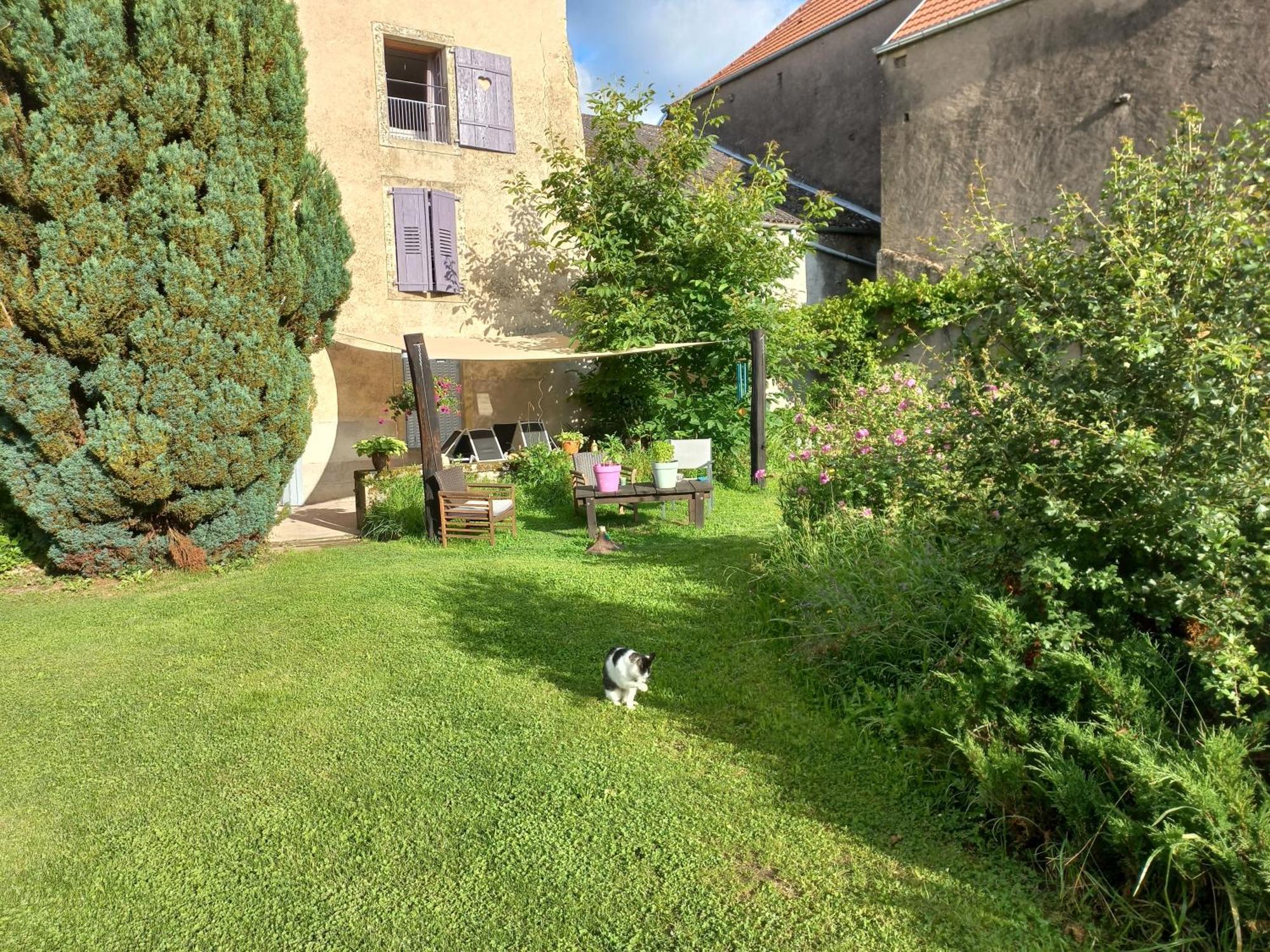 La Maison Du Notaire - Chambre D'Hotes - Honden Welkom Melay  Buitenkant foto