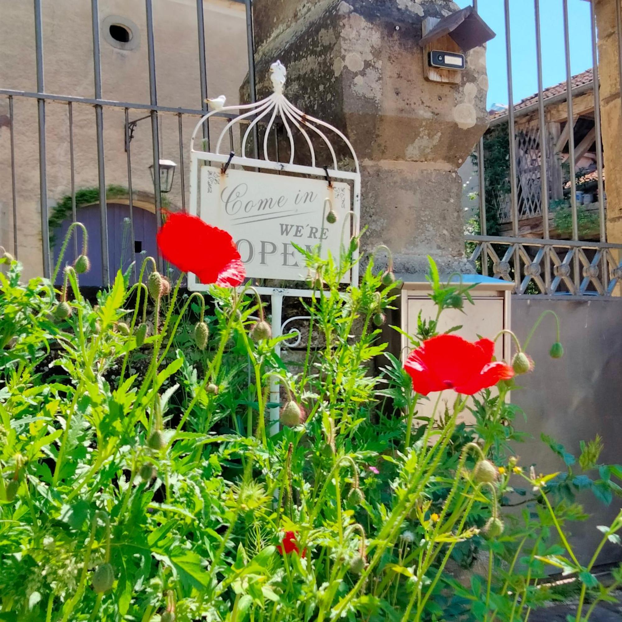 La Maison Du Notaire - Chambre D'Hotes - Honden Welkom Melay  Buitenkant foto